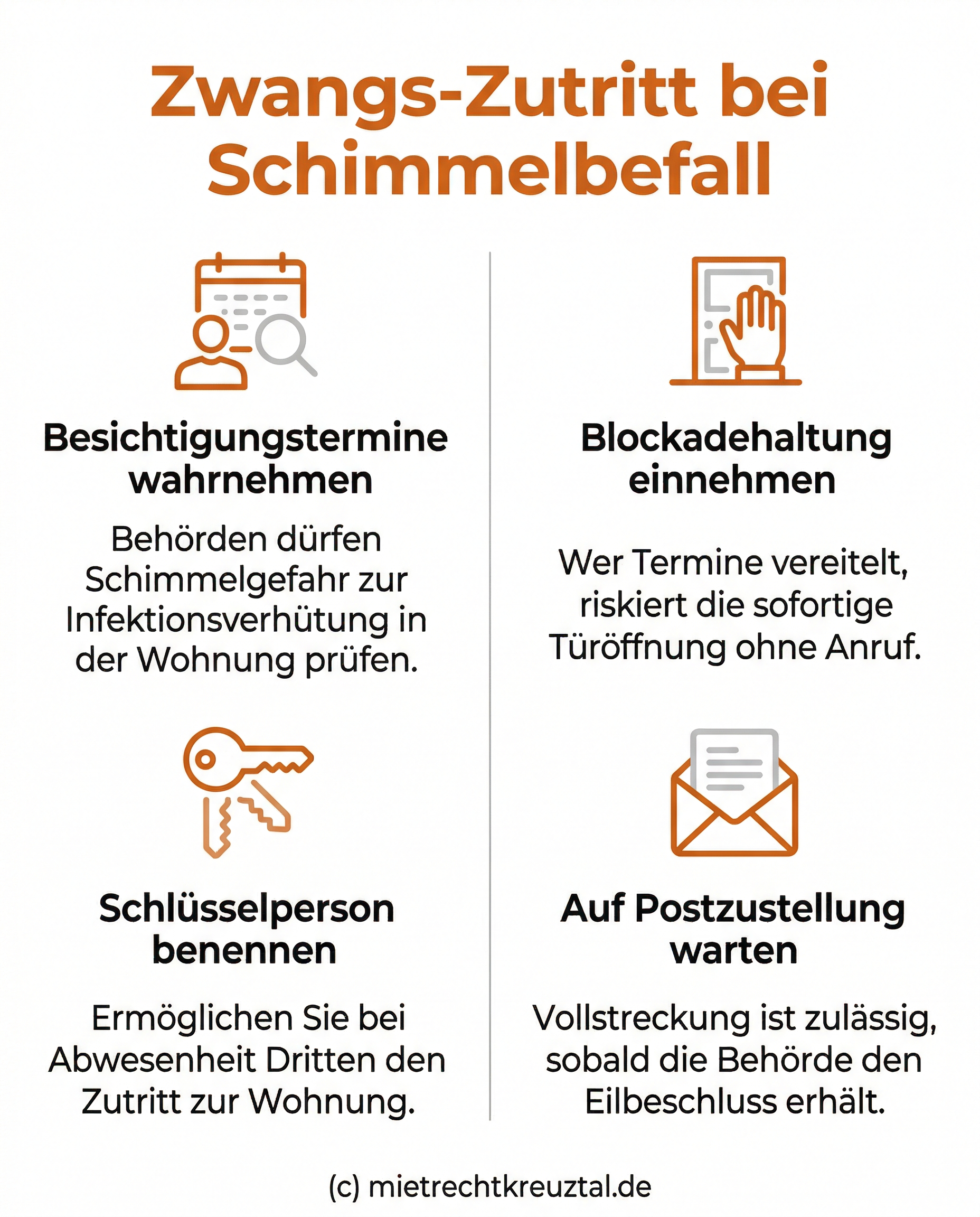 Infografik: Verhaltensregeln für Mieter bei behördlich angeordneter Schimmelbesichtigung zur Vermeidung einer zwangsweisen Türöffnung.
